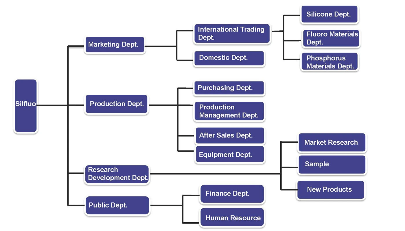 Silfluo Company Structure