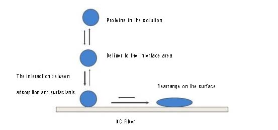 A Brief Introduction to Surfactants