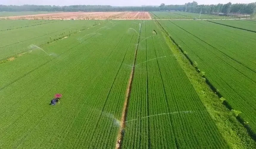 The Application and Prospects of Organosilicon in Pesticide Synergism and Environmental Protection